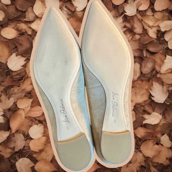 NWT Sam Edelman ‘Sally’ Pointed Toe Flats in “Oatmeal” Suede Leather Size 11 - Picture 14 of 16